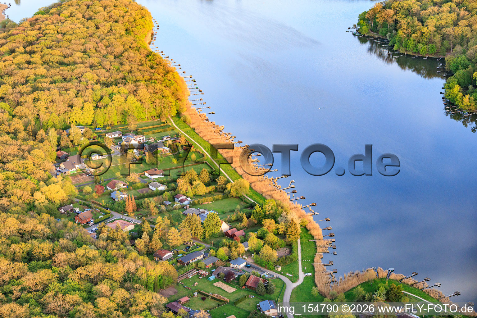 Anglerstege im Schilf am Ufer des Etang des marais im Wald in Rémering-lès-Puttelange im Bundesland Moselle, Frankreich