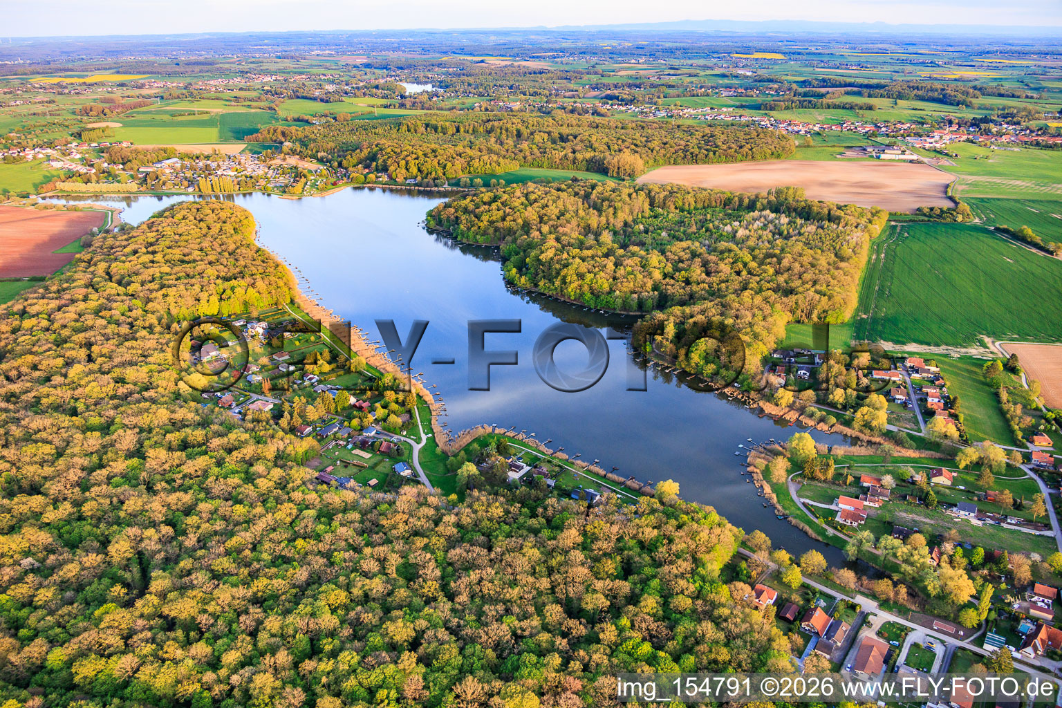 Etang des marais im Wald in Rémering-lès-Puttelange im Bundesland Moselle, Frankreich