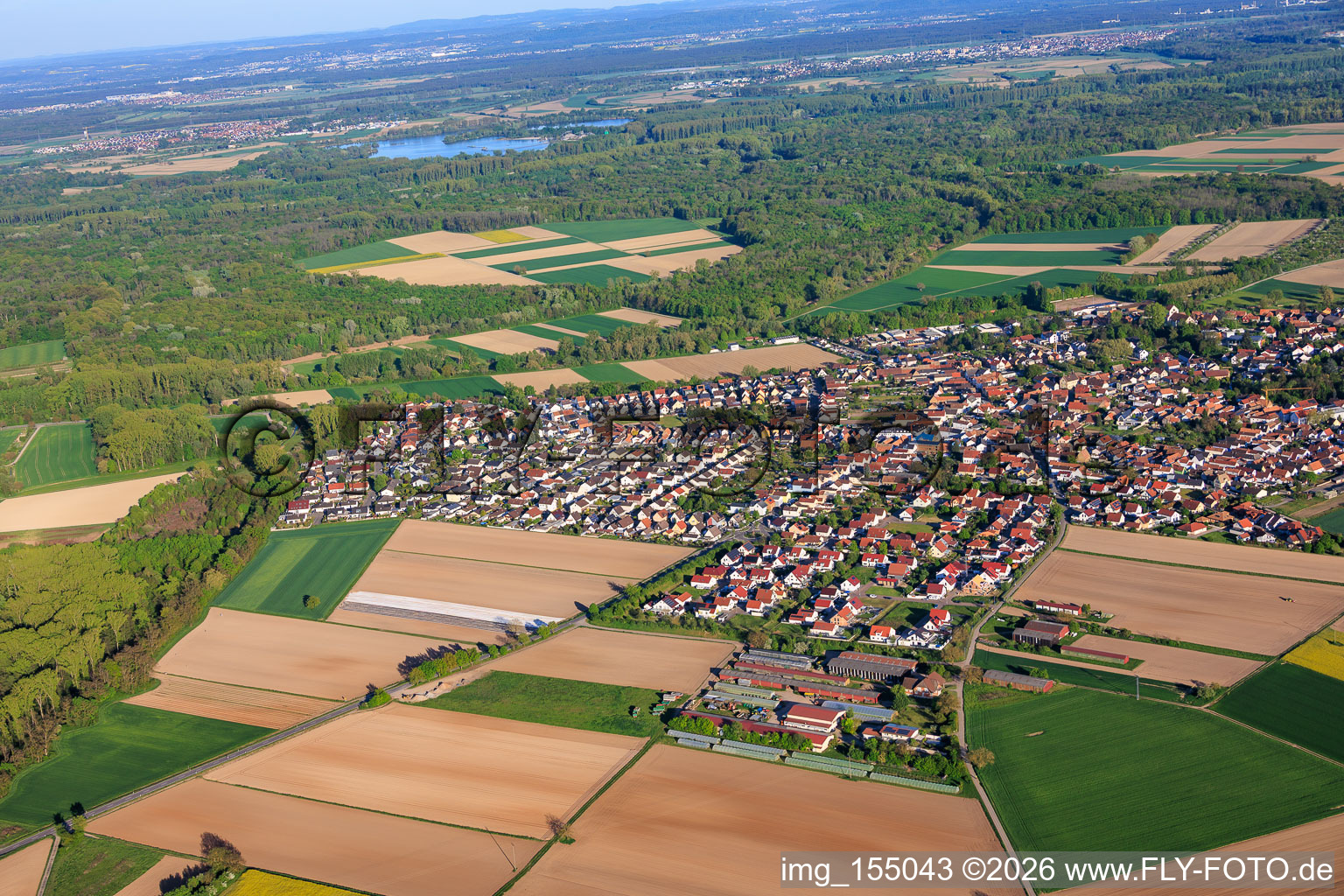 Hördt von Westen im Bundesland Rheinland-Pfalz, Deutschland