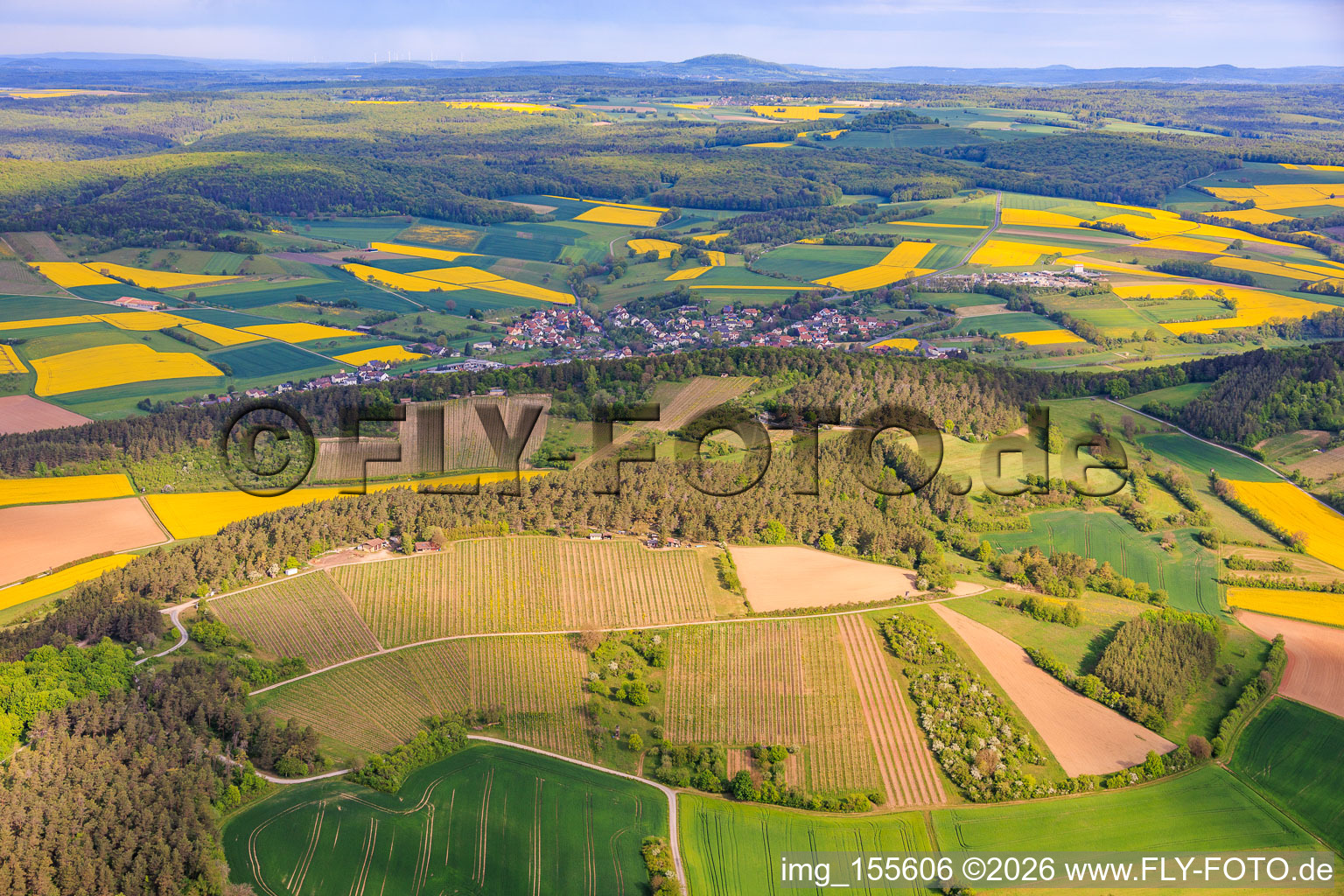 Weinberge von Müller! Das Weingut und Weintenne in Hammelburg im Bundesland Bayern, Deutschland