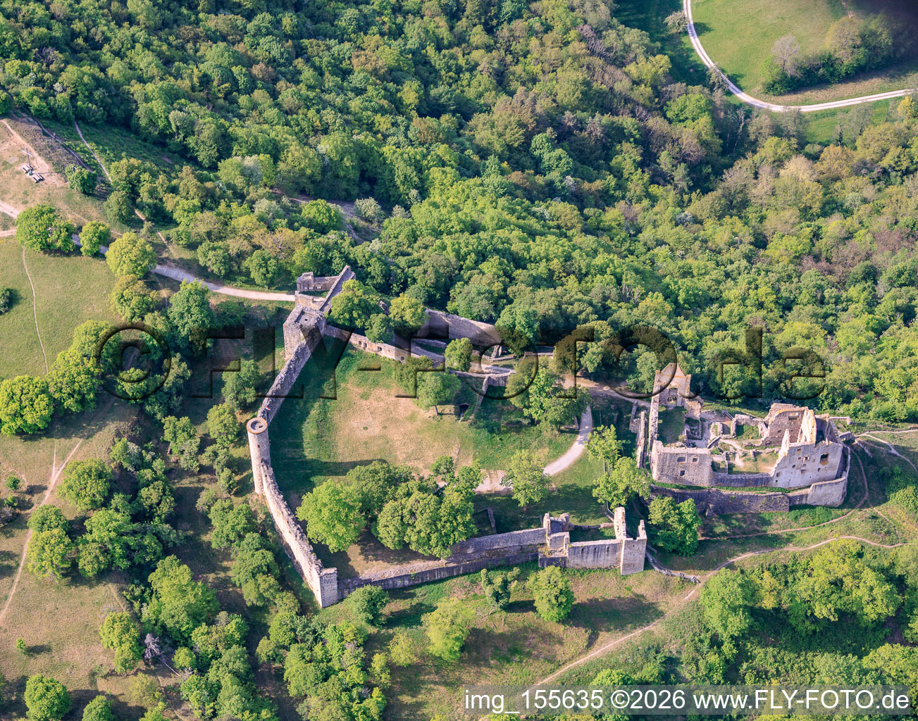 Naturschutzgebiet „Ruine Homburg“ und Burgruine Homburg bei Gössenheim im Bundesland Bayern, Deutschland