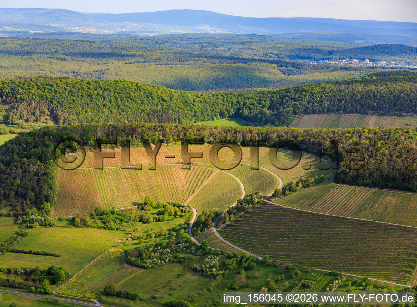 Weinberge zwischen Tal und Wald aus Süden in Ramsthal im Bundesland Bayern, Deutschland