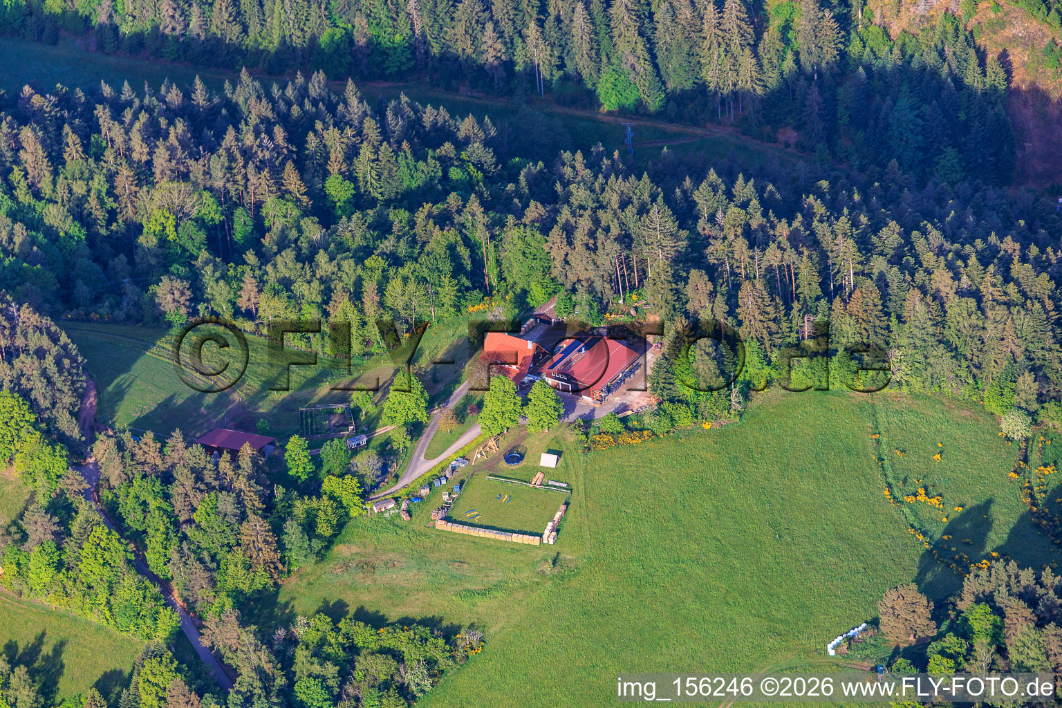 Aussiedlerhöfe in Hinterholz im Ortsteil Kienbächle in Schiltach im Bundesland Baden-Württemberg, Deutschland