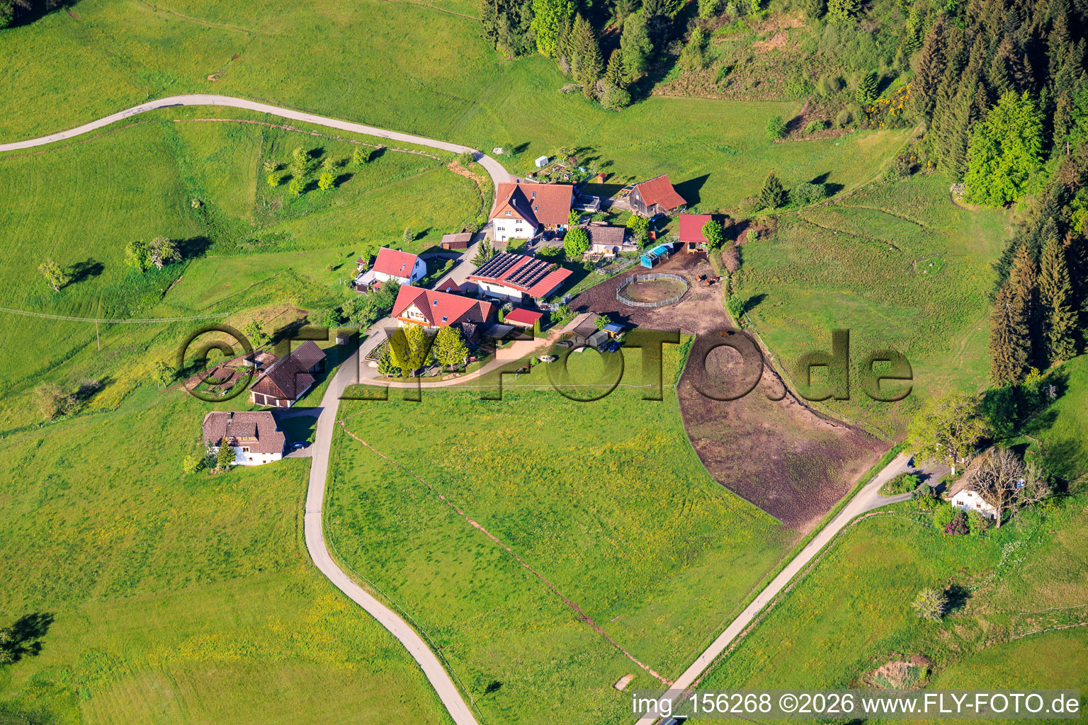 Mooswald mit Käppelebauer und Biggi's Nähstüble im Ortsteil Diesenhof in Lauterbach im Bundesland Baden-Württemberg, Deutschland