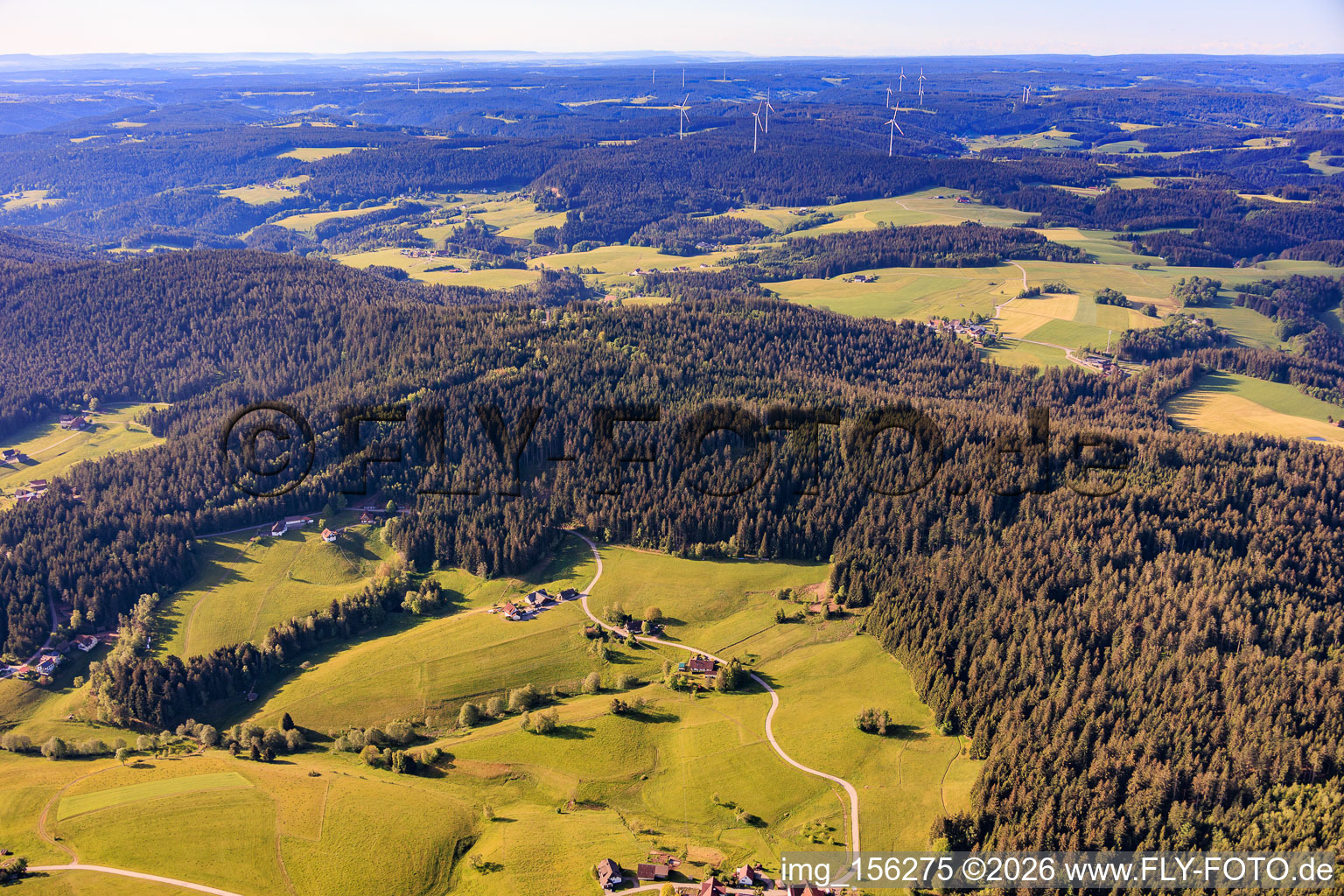 Mooswald von Norden im Ortsteil Diesenhof in Lauterbach im Bundesland Baden-Württemberg, Deutschland