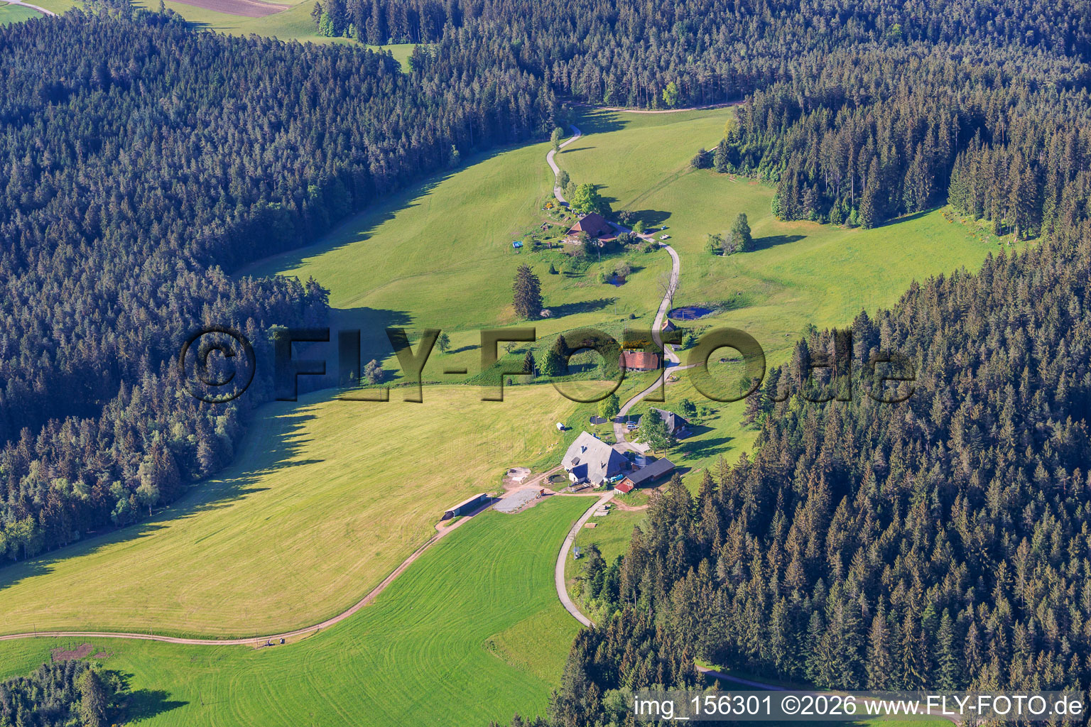 Krährbauernhof - Eva Miriam Häuber im Ortsteil Reichenbach in Hornberg im Bundesland Baden-Württemberg, Deutschland