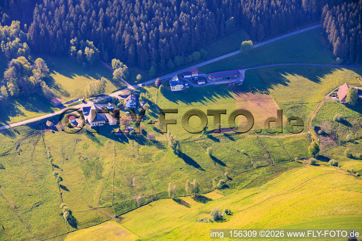 Oberreichenbach Waldhasenhof im Ortsteil Reichenbach in Hornberg im Bundesland Baden-Württemberg, Deutschland