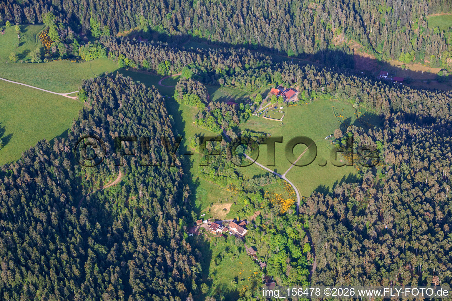 Schwarzwaldhöfe im Ortsteil Kienbächle in Schiltach im Bundesland Baden-Württemberg, Deutschland