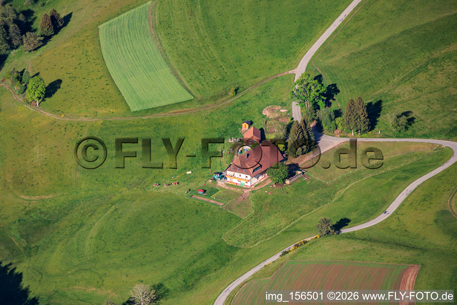Vogtsbauer(Schwarzwald) am Mooswald im Ortsteil Diesenhof in Lauterbach im Bundesland Baden-Württemberg, Deutschland
