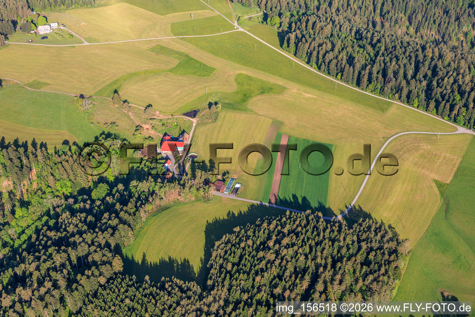 Schwarzwaldhöfe im Ortsteil Unter-Reichenbach in Hornberg im Bundesland Baden-Württemberg, Deutschland