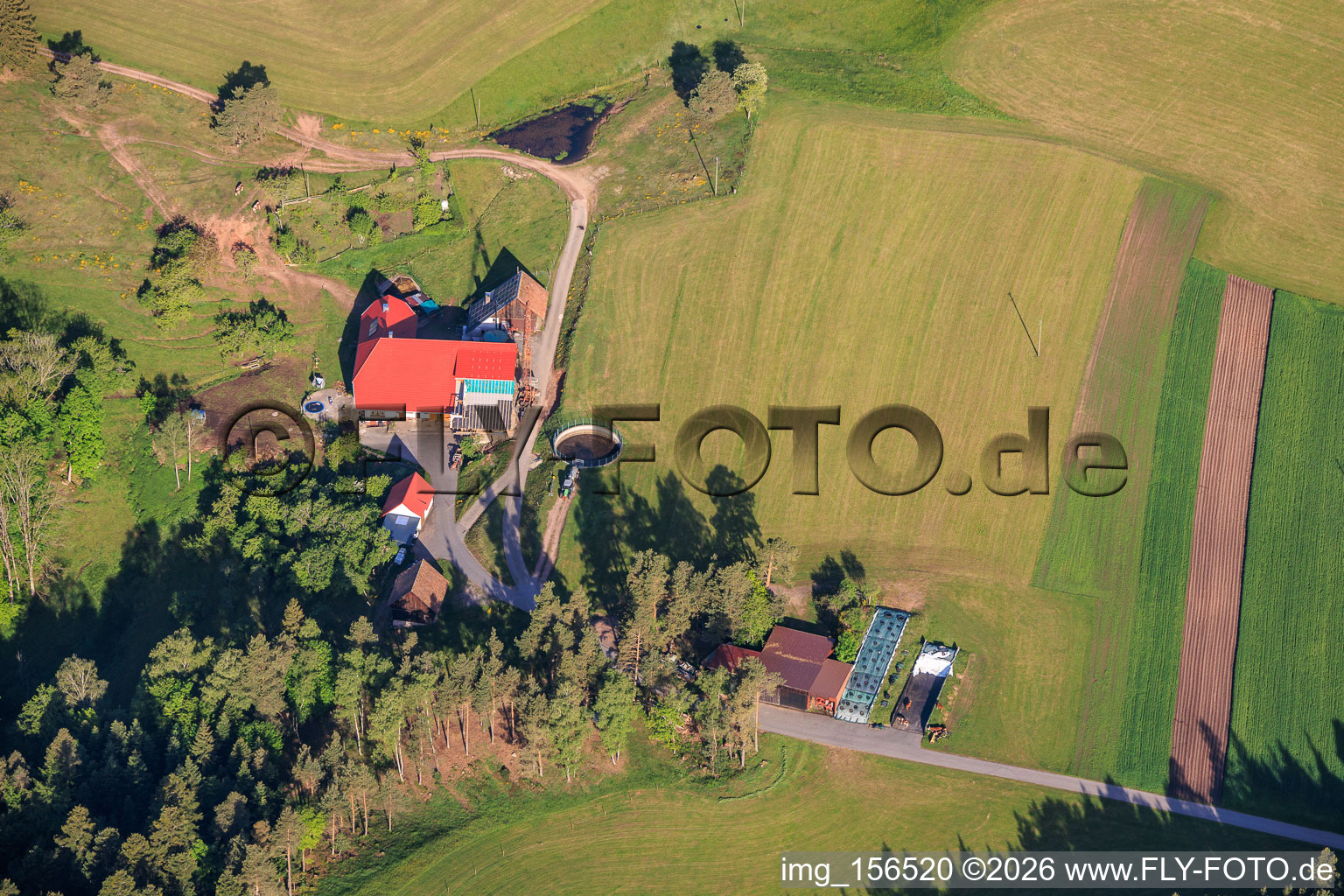 Schwarzwaldhöfe im Ortsteil Fohrenbühl in Hornberg im Bundesland Baden-Württemberg, Deutschland