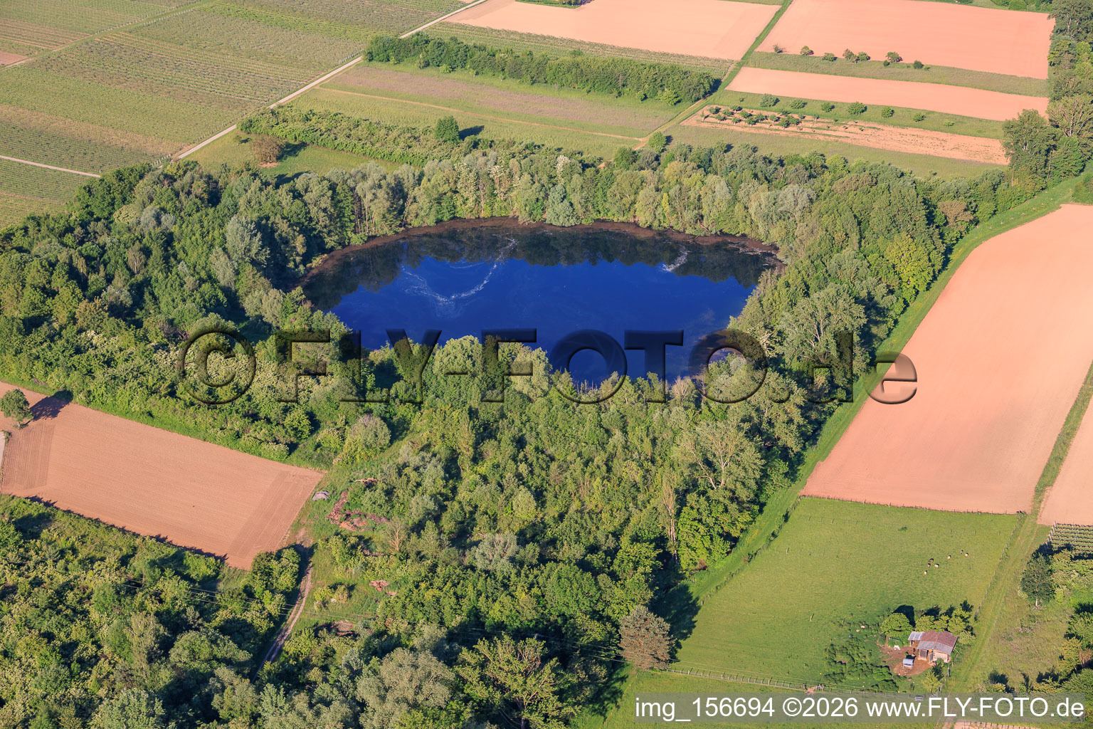 Biotopweiher alte Tongrube in Göcklingen im Bundesland Rheinland-Pfalz, Deutschland