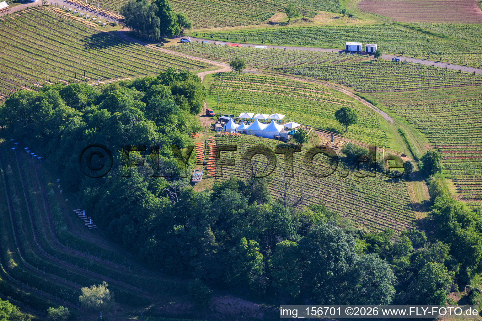 Weinfrühling Pfingsten im Weinberg. Große Weinpräsentation inmitten der Weinlage „Kastanienbusch“ (Schönstes Weinfest der Pfalz 2012) in Birkweiler im Bundesland Rheinland-Pfalz, Deutschland