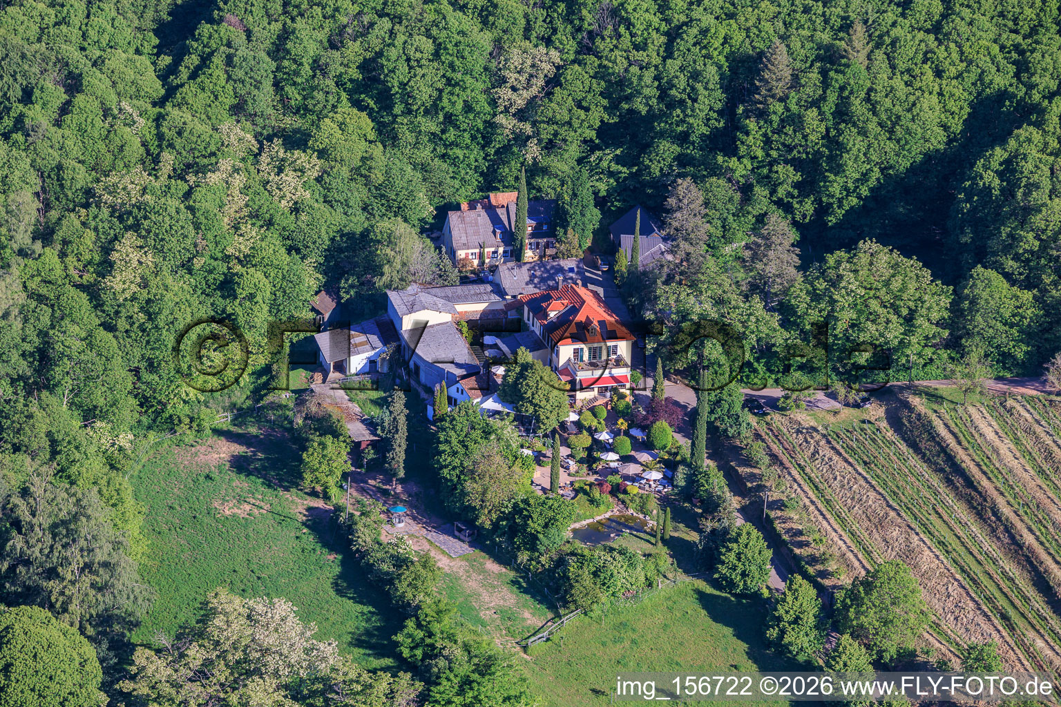 Weingut Sankt Annaberg mit Garten am Waldrand in Burrweiler im Bundesland Rheinland-Pfalz, Deutschland