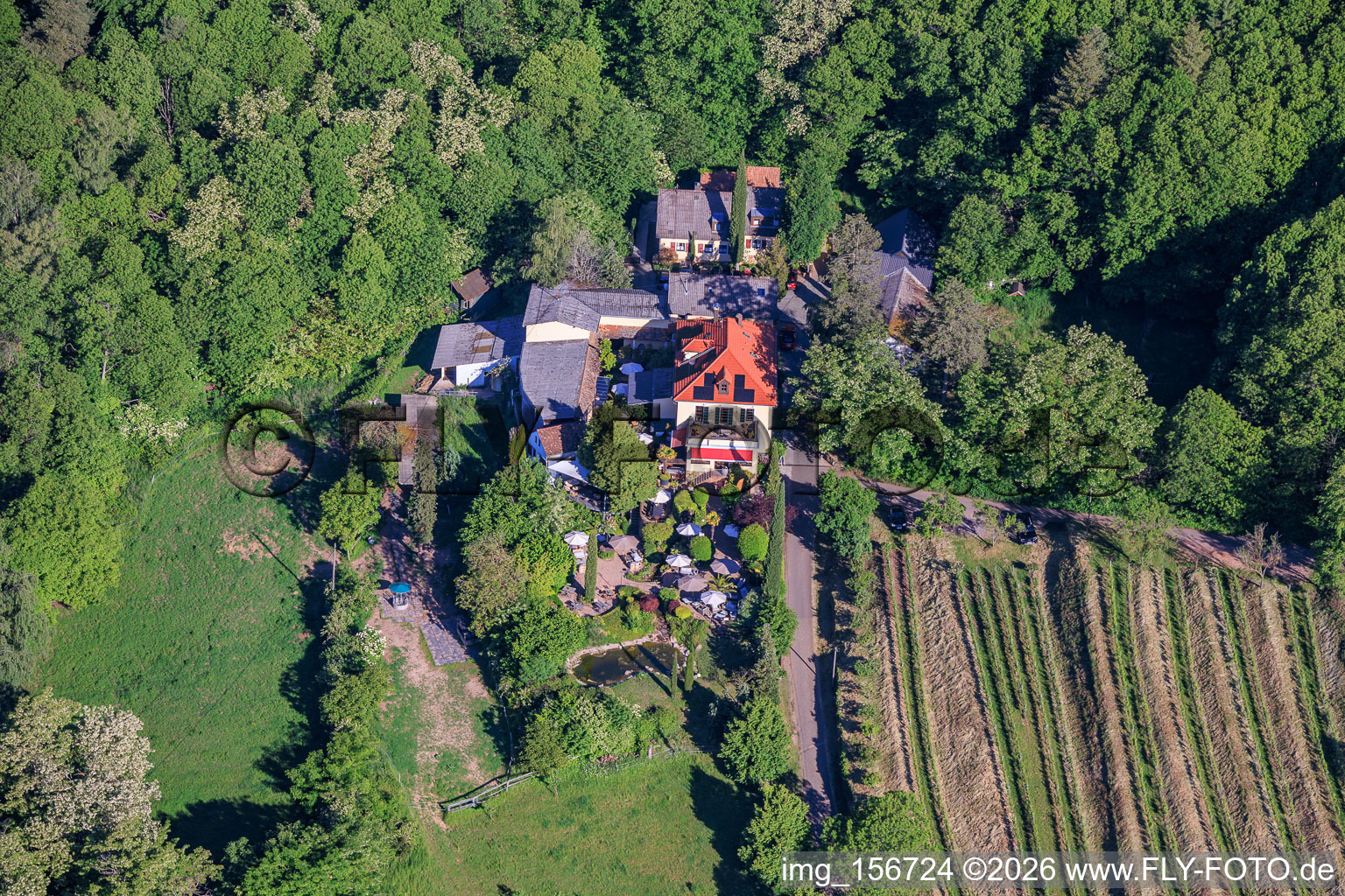 Weingut Sankt Annaberg mit Garten am Waldrand in Burrweiler im Bundesland Rheinland-Pfalz, Deutschland