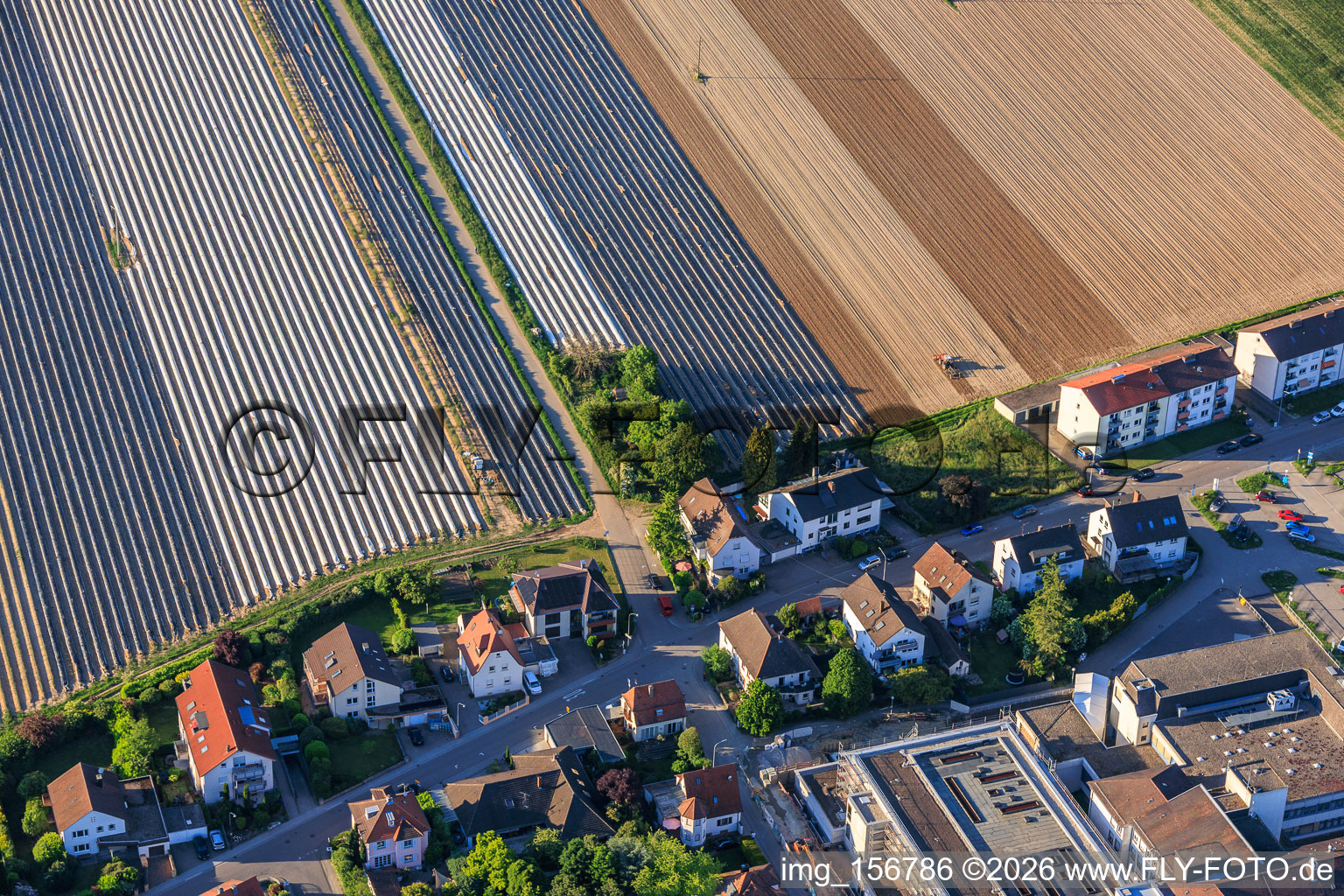 Spargeläcker jenseits der Zeppelinstr in Kandel im Bundesland Rheinland-Pfalz, Deutschland