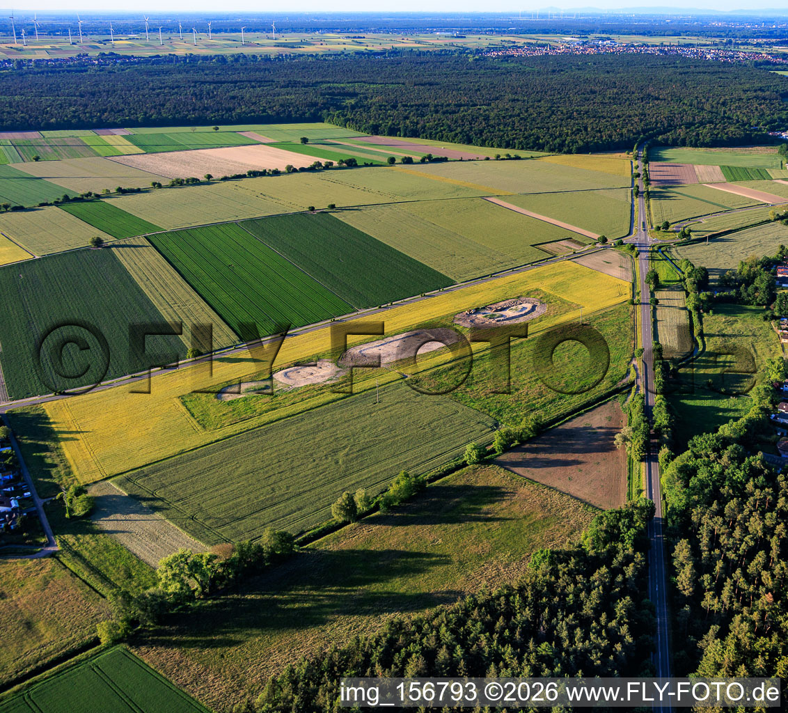Neuanlage der Biotop-Ausgleichsflächen zur Umsiedlung des Kiebitz in Folge des Windparks an der Maxstraße in Hatzenbühl im Bundesland Rheinland-Pfalz, Deutschland