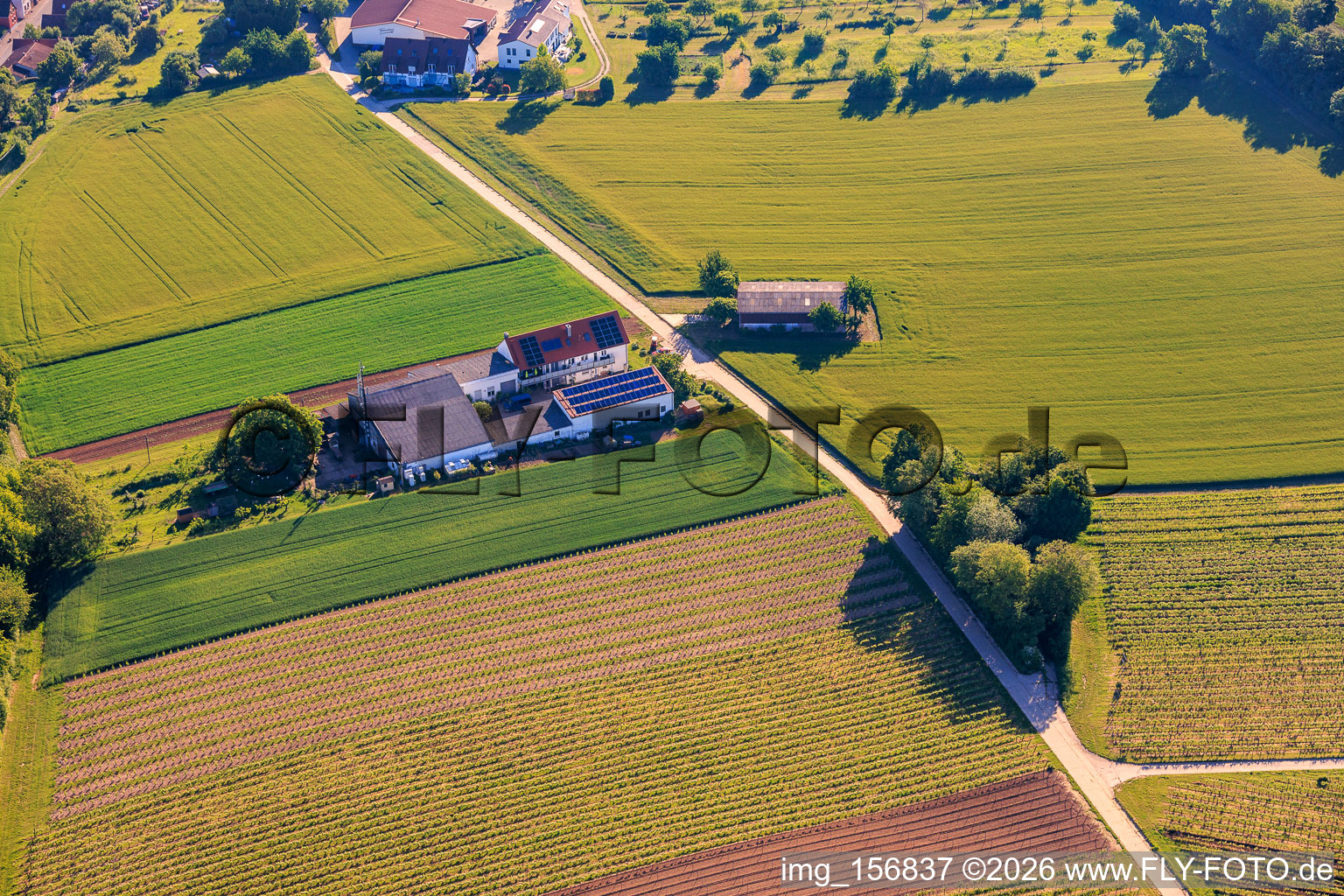 Kehler Hof im Ortsteil Ingenheim in Billigheim-Ingenheim im Bundesland Rheinland-Pfalz, Deutschland