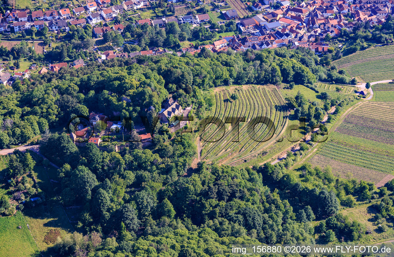 Schloss Kropsburg im Ortsteil SaintMartin in Sankt Martin im Bundesland Rheinland-Pfalz, Deutschland