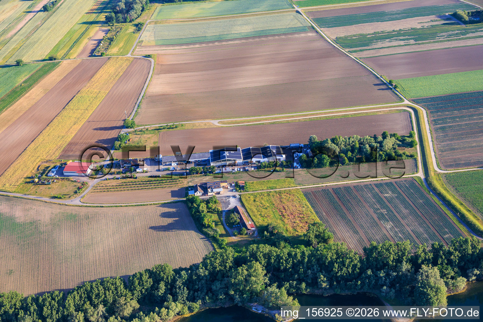 Jesterhof Landwirtschaft Obst und Gemüseanbau, Hofladen, Destillerie, Alte Ziegelei und Gewerbegebiet Rheinfeldstraße mit Celsa Messgeräte GmbH und Solisation GmbH im Ortsteil Mechtersheim in Römerberg im Bundesland Rheinland-Pfalz, Deutschland