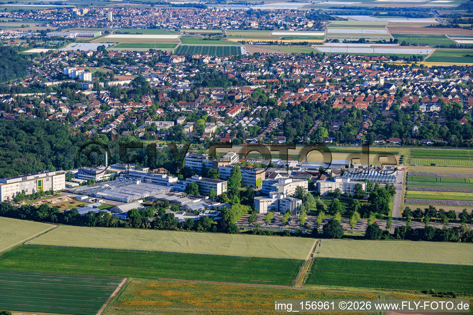 BASF Agricultural Center von Süden in Limburgerhof im Bundesland Rheinland-Pfalz, Deutschland
