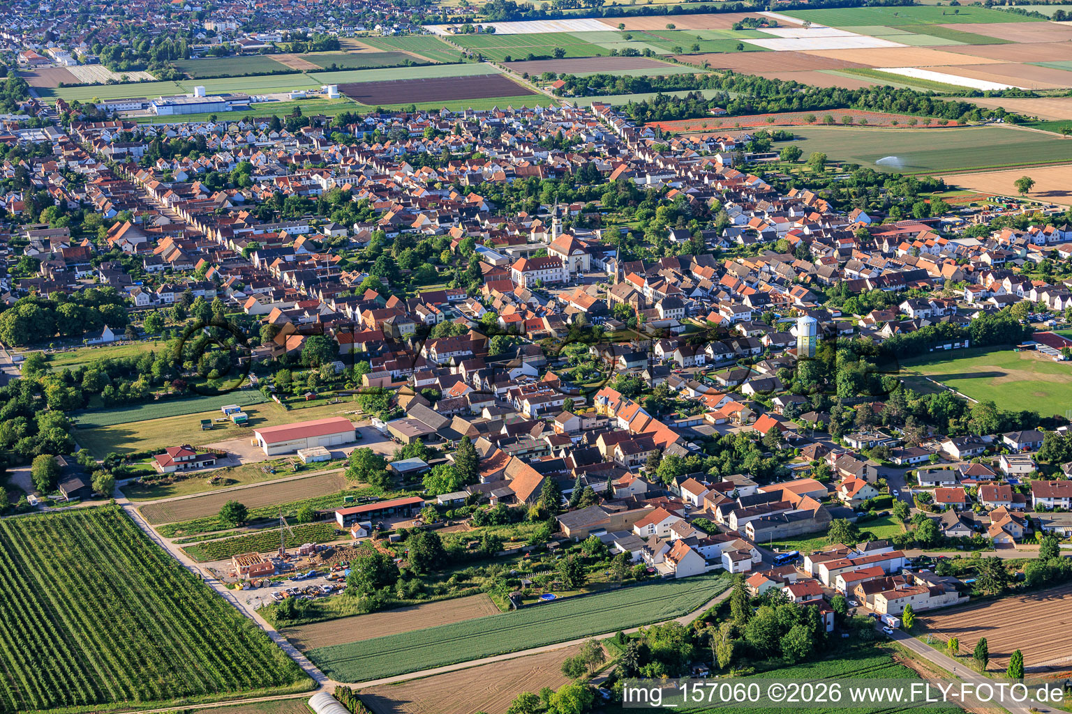 Böhl aus Norden in Böhl-Iggelheim im Bundesland Rheinland-Pfalz, Deutschland