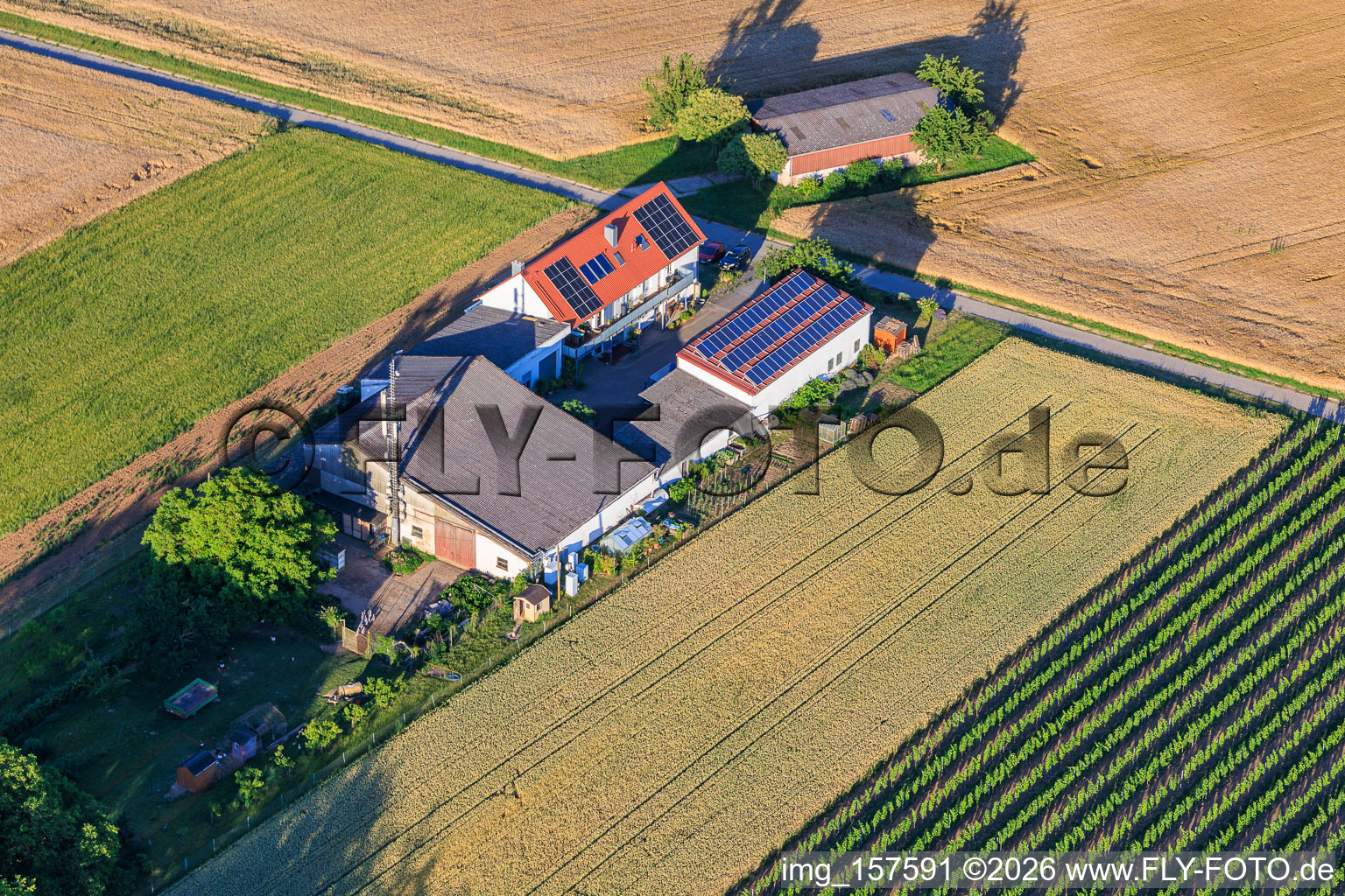 Aussiedlerhof Kehler Hof im Ortsteil Ingenheim in Billigheim-Ingenheim im Bundesland Rheinland-Pfalz, Deutschland