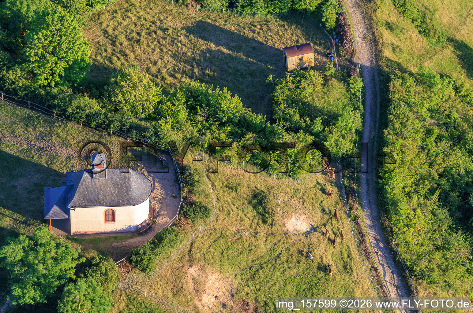 Kapelle Kleine Kalmit mit Ziegenherde im Ortsteil Arzheim in Landau in der Pfalz im Bundesland Rheinland-Pfalz, Deutschland