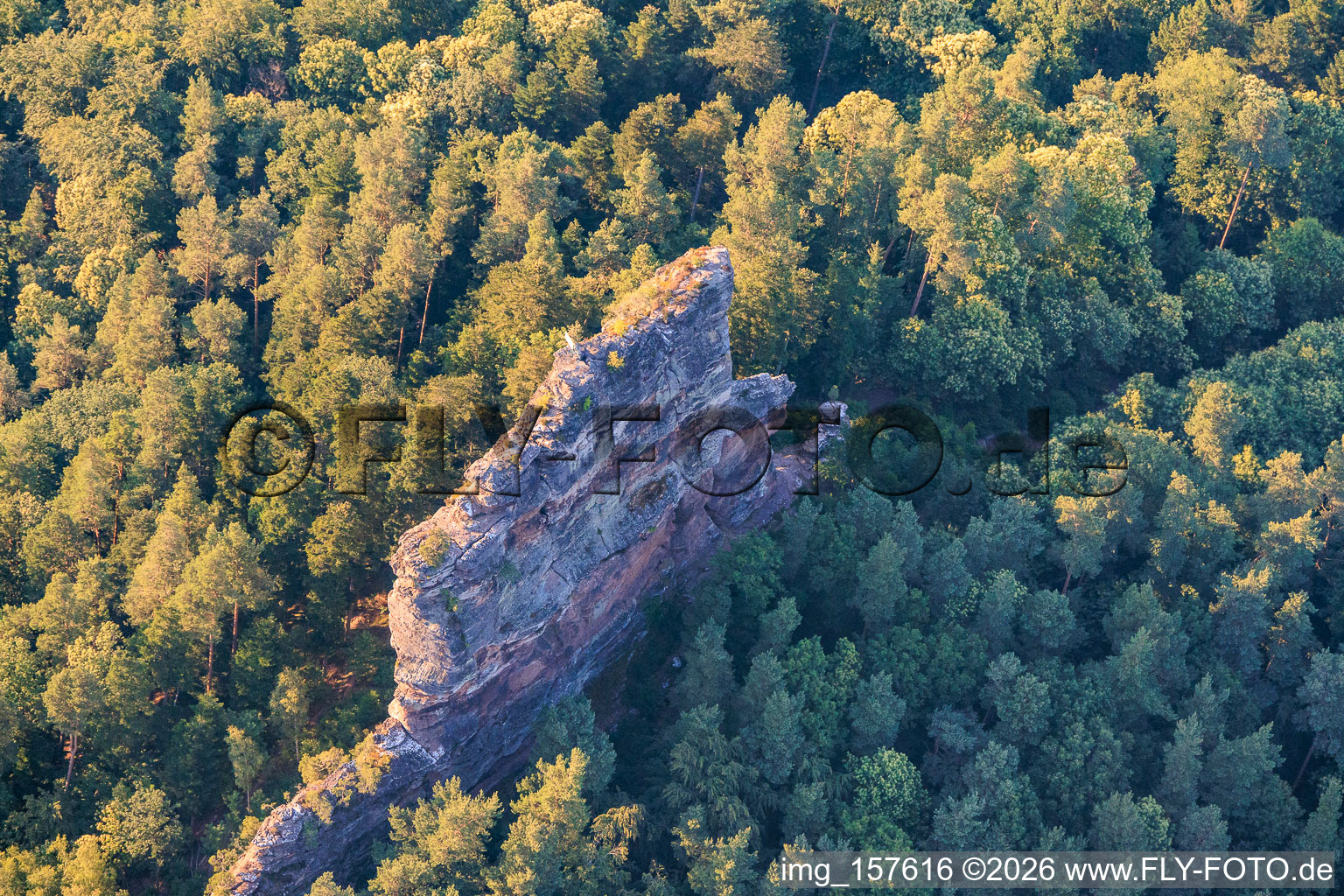 Kletterfels Asselstein in Annweiler am Trifels im Bundesland Rheinland-Pfalz, Deutschland