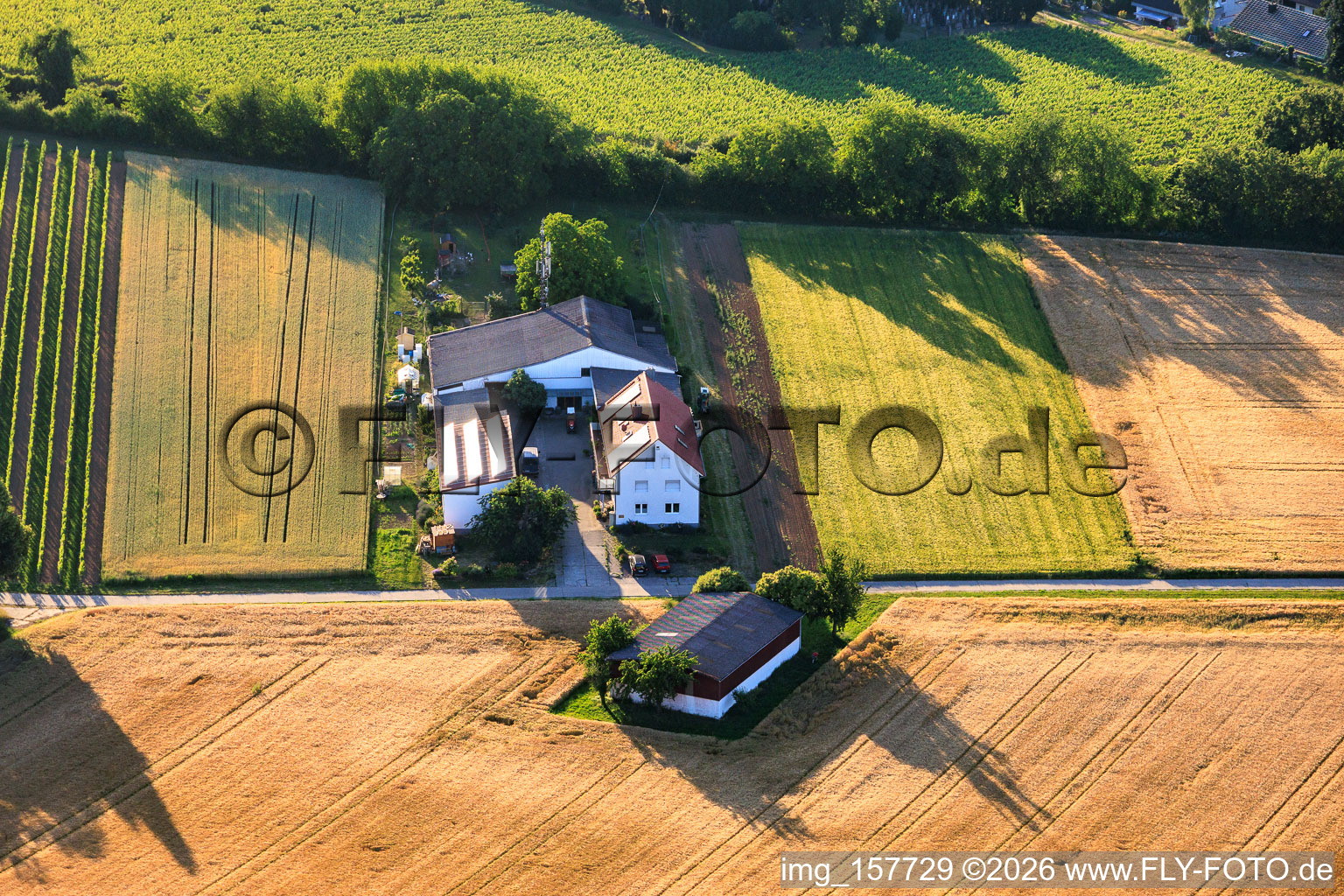 Aussiedlerhof Kehler Hof im Ortsteil Ingenheim in Billigheim-Ingenheim im Bundesland Rheinland-Pfalz, Deutschland