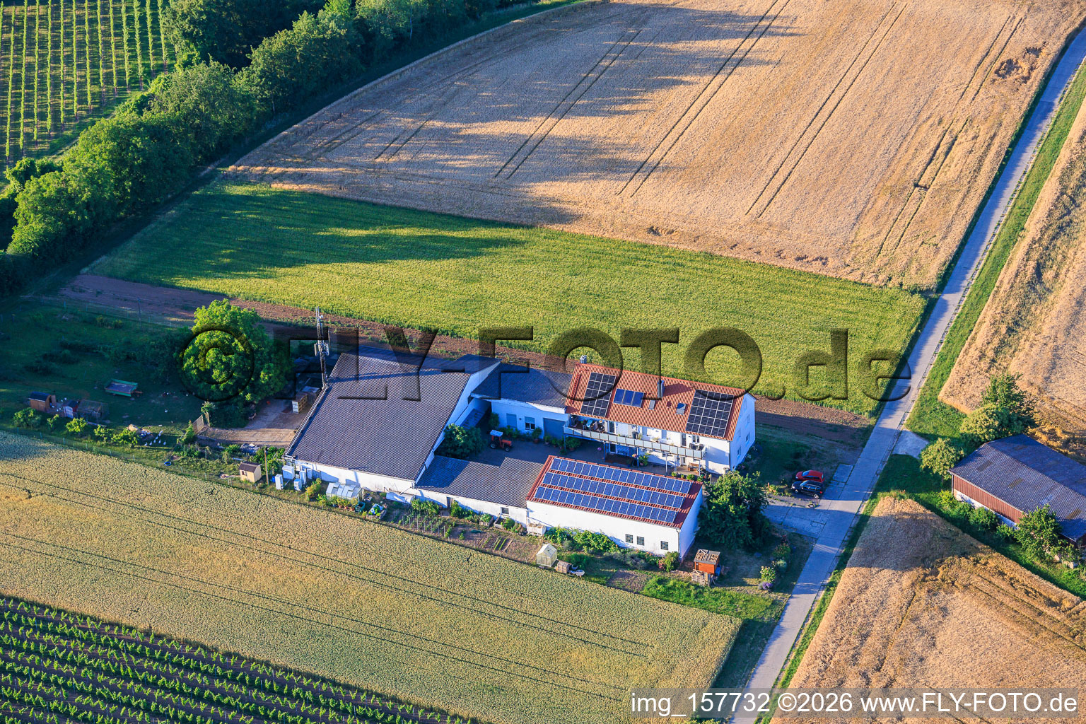 Aussiedlerhof Kehler Hof im Ortsteil Ingenheim in Billigheim-Ingenheim im Bundesland Rheinland-Pfalz, Deutschland