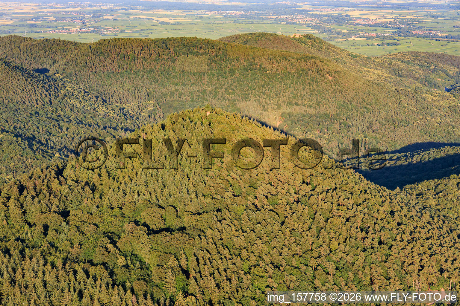 Rehbergturm in Waldrohrbach im Bundesland Rheinland-Pfalz, Deutschland