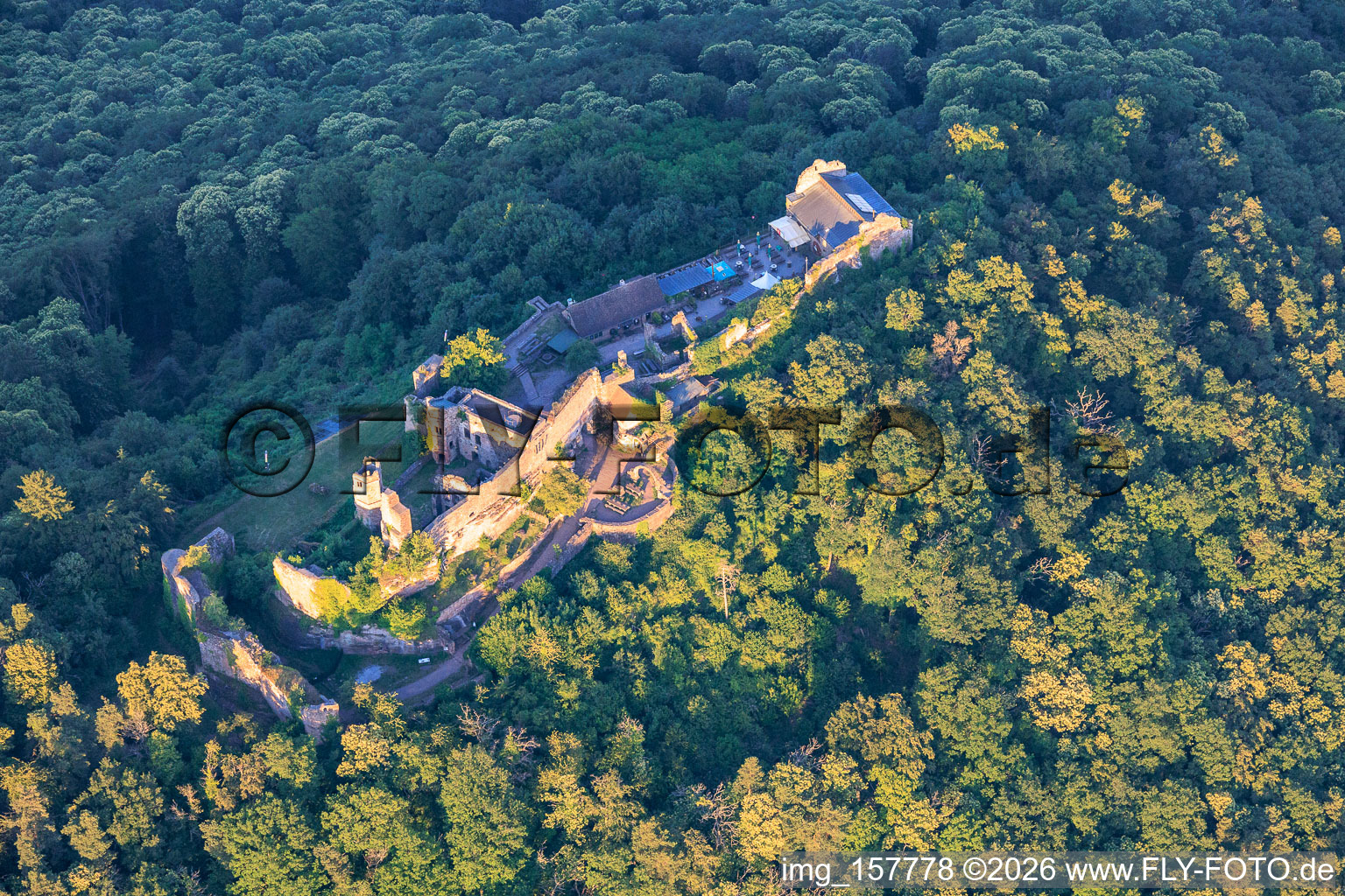 Burgruine Madenburg aus Westen in Eschbach im Bundesland Rheinland-Pfalz, Deutschland
