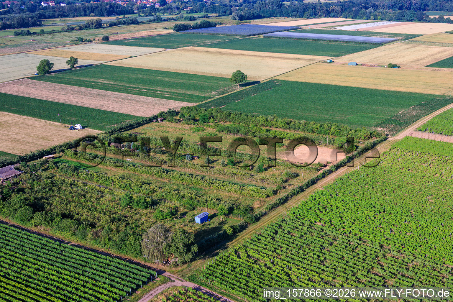 Plantage mit Arbeitsbereich für den Windradbau im Ortsteil Mühlhofen in Billigheim-Ingenheim im Bundesland Rheinland-Pfalz, Deutschland