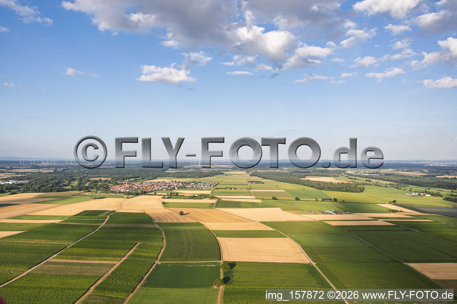 Im Tiefenthal in Billigheim-Ingenheim im Bundesland Rheinland-Pfalz, Deutschland