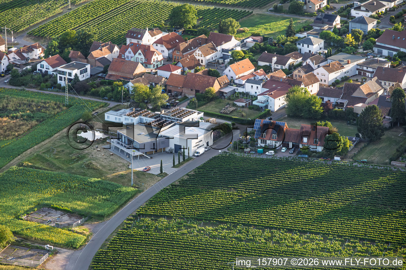 Vinothek Weingut Sauer in Nußdorf in Landau in der Pfalz im Bundesland Rheinland-Pfalz, Deutschland