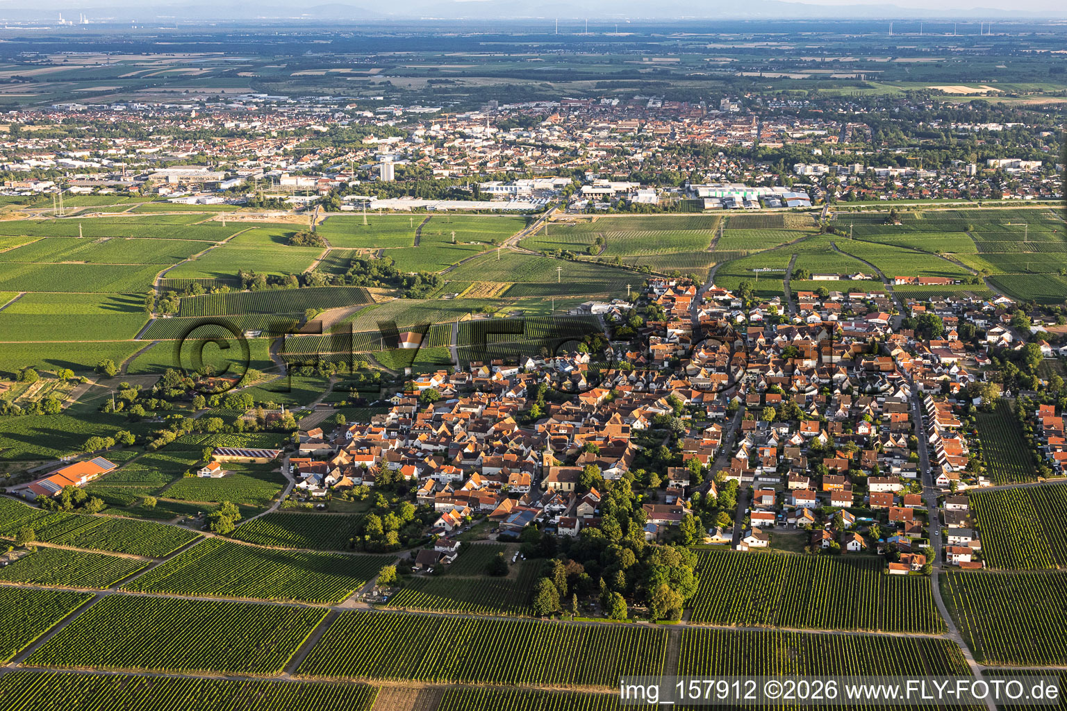 Winzerdorf aus Norden im Ortsteil Nußdorf in Landau in der Pfalz im Bundesland Rheinland-Pfalz, Deutschland