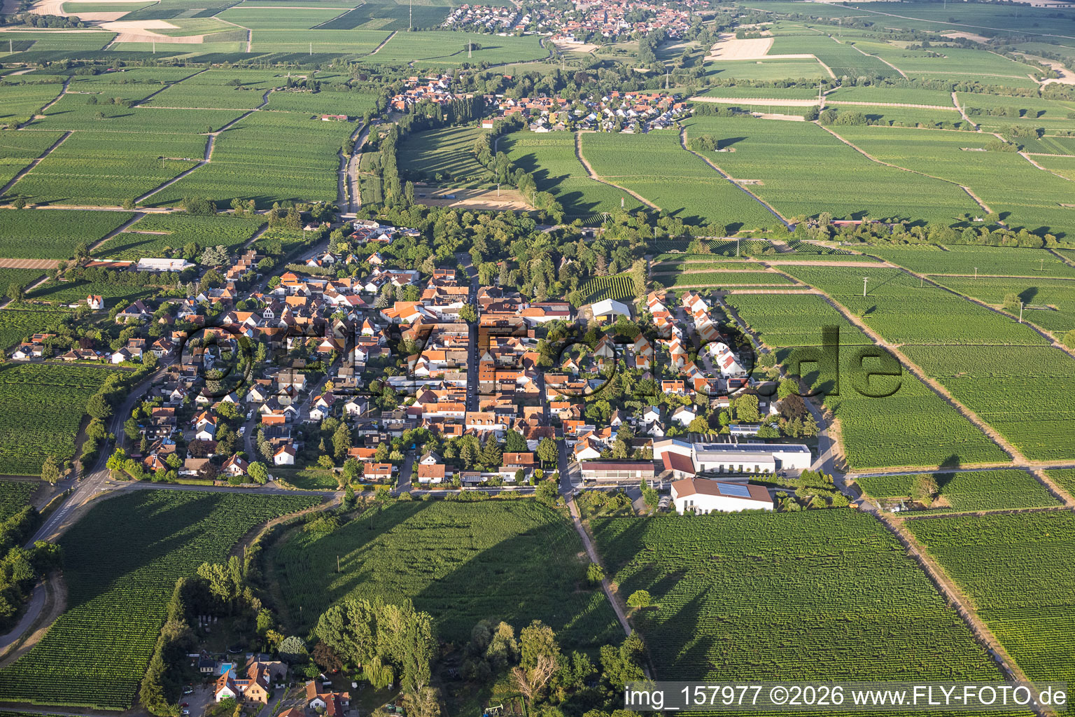 Dorfansicht von Westen mit Weingut Karl Pfaffmann in Walsheim im Bundesland Rheinland-Pfalz, Deutschland