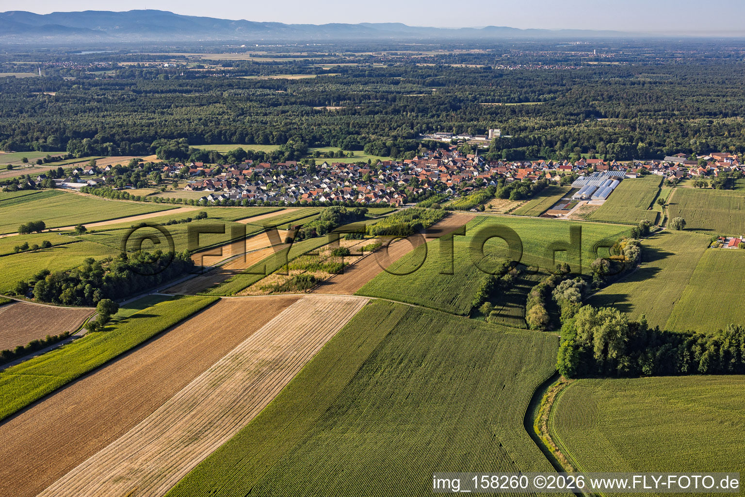 Niederrœdern aus Norden im Bundesland Bas-Rhin, Frankreich