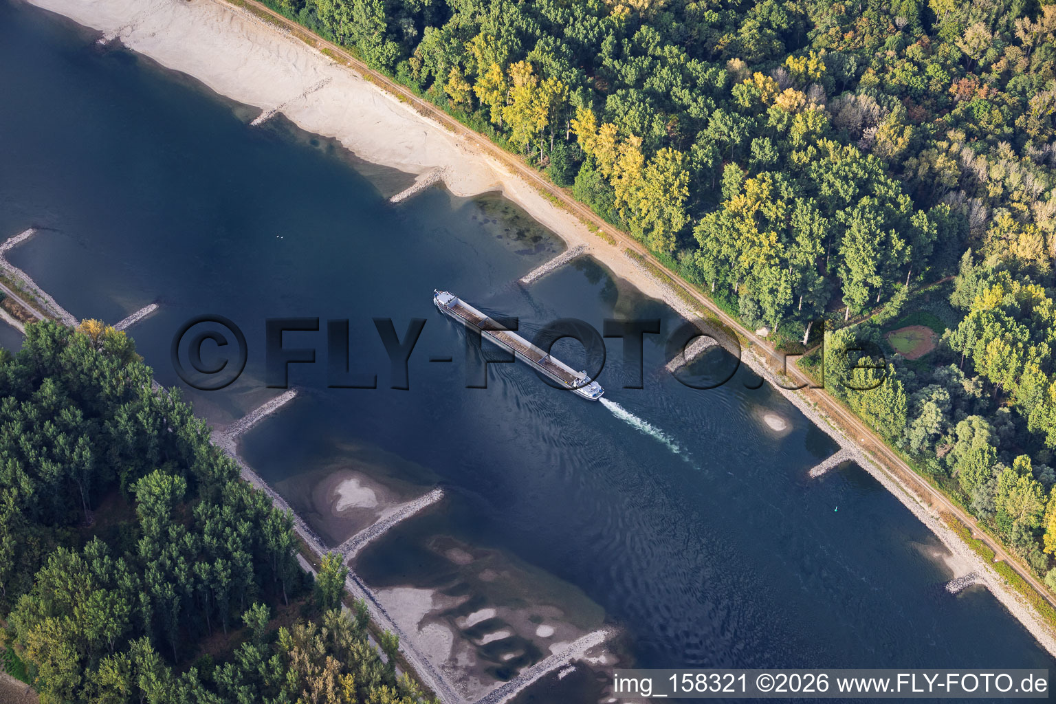 Leeres Frachtschiff bei Niedrigwasser am Rhein zwischen Hördter Rheinaue und Dettenheim im Bundesland Rheinland-Pfalz, Deutschland