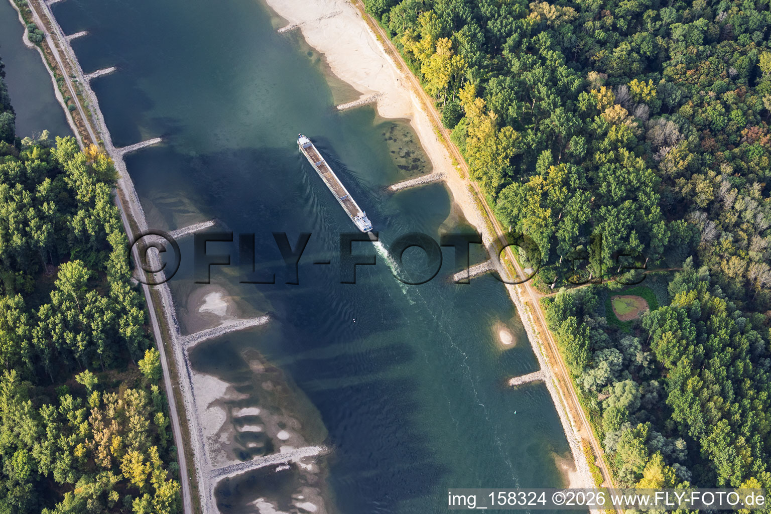 Leeres Frachtschiff bei Niedrigwasser am Rhein zwischen Hördter Rheinaue und Dettenheim im Bundesland Rheinland-Pfalz, Deutschland