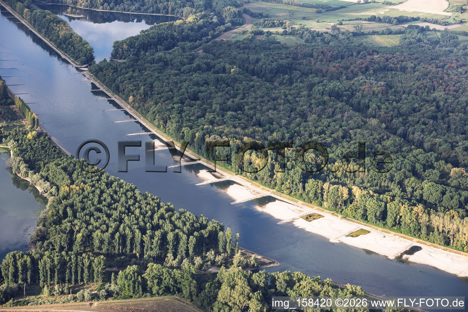 Sandbänke und Buhnen bei Niedrigwasser am Rhein zwischen Hördter Rheinaue und Dettenheim im Bundesland Rheinland-Pfalz, Deutschland