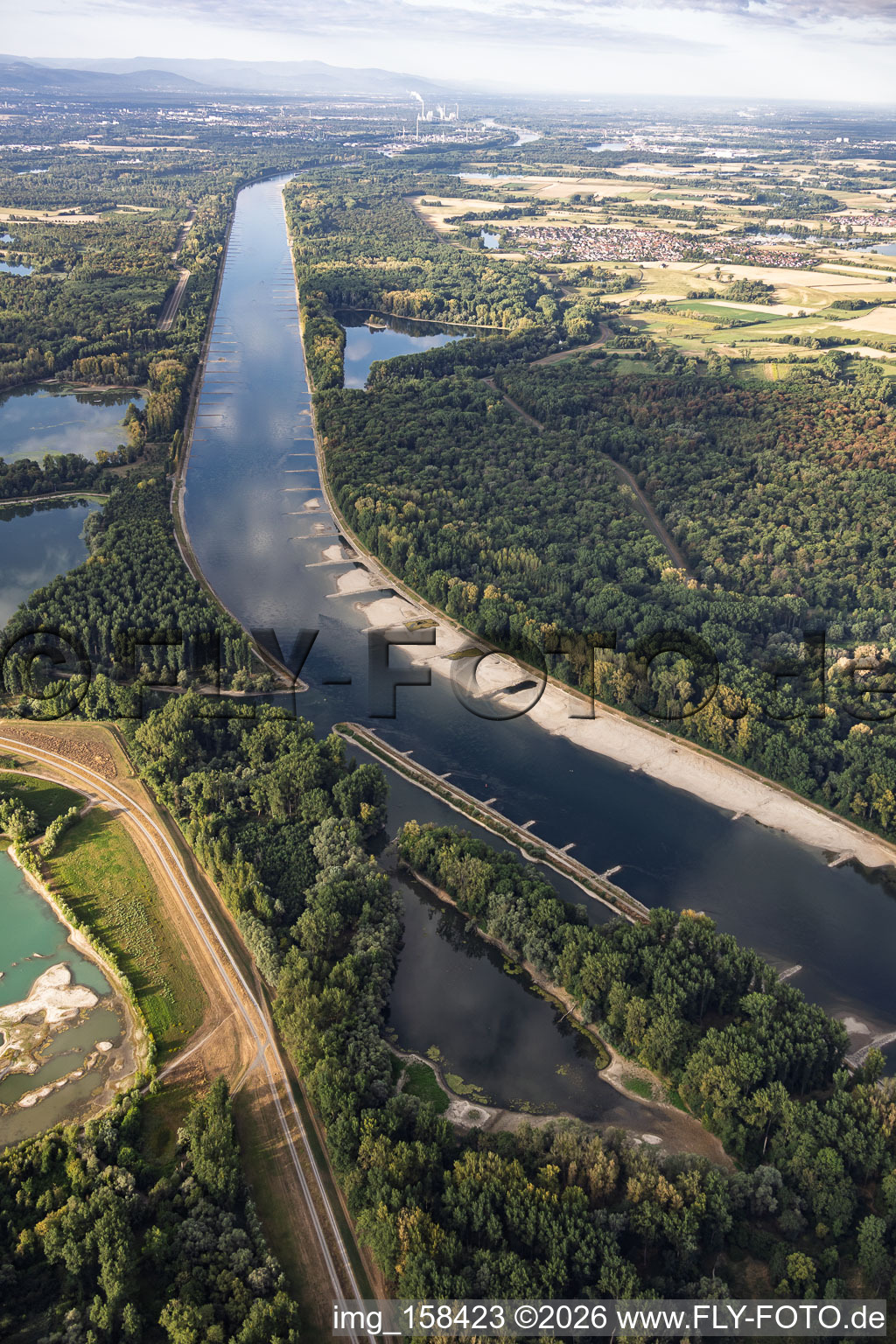 Sandbänke und Buhnen bei Niedrigwasser am Rhein zwischen Hördter Rheinaue und Insel Rott im Bundesland Rheinland-Pfalz, Deutschland