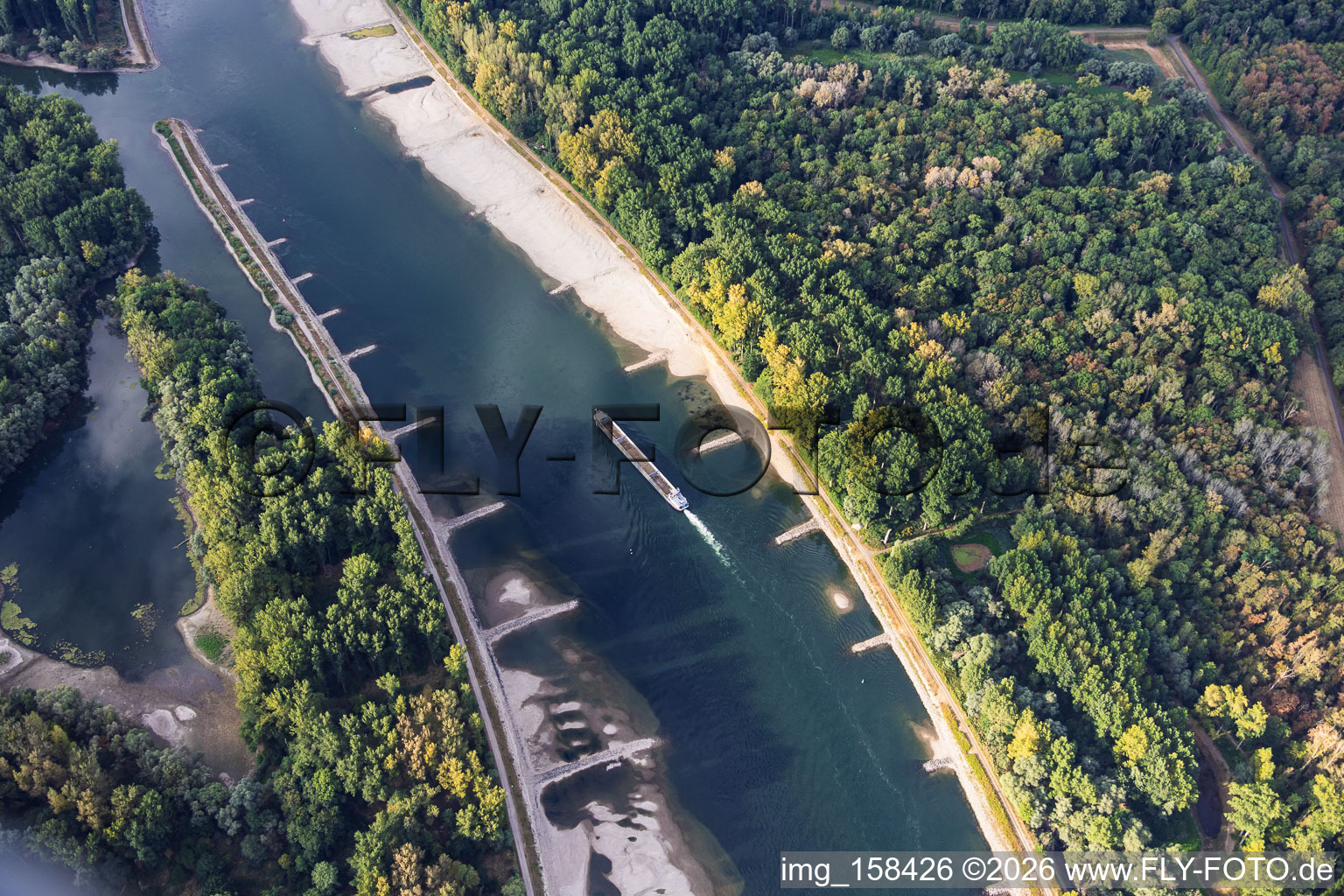 Leeres Frachtschiff bei Niedrigwasser am Rhein zwischen Hördter Rheinaue und Dettenheim im Bundesland Rheinland-Pfalz, Deutschland
