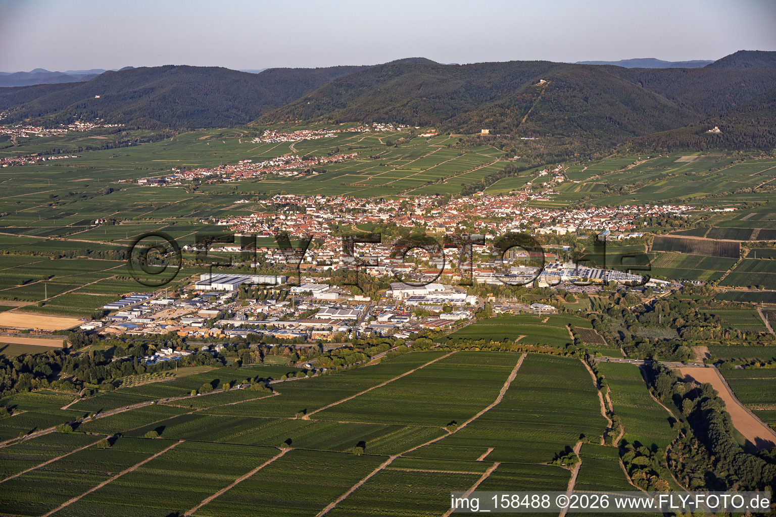 Stadtansicht jenseits der A65 aus Nordosten am Morgen in Edenkoben im Bundesland Rheinland-Pfalz, Deutschland