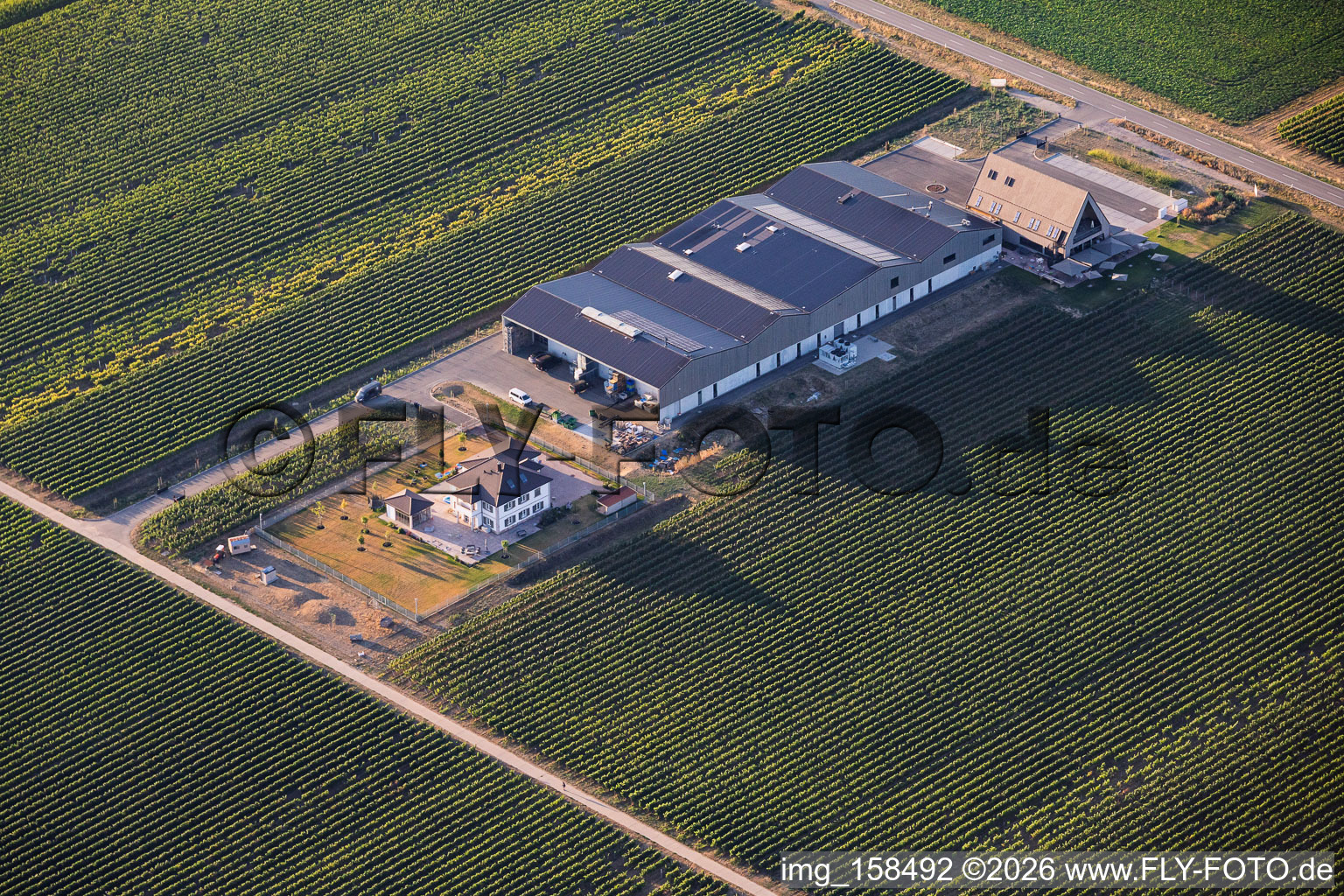 Weingut Ellermann-Spiegel in Kleinfischlingen im Bundesland Rheinland-Pfalz, Deutschland