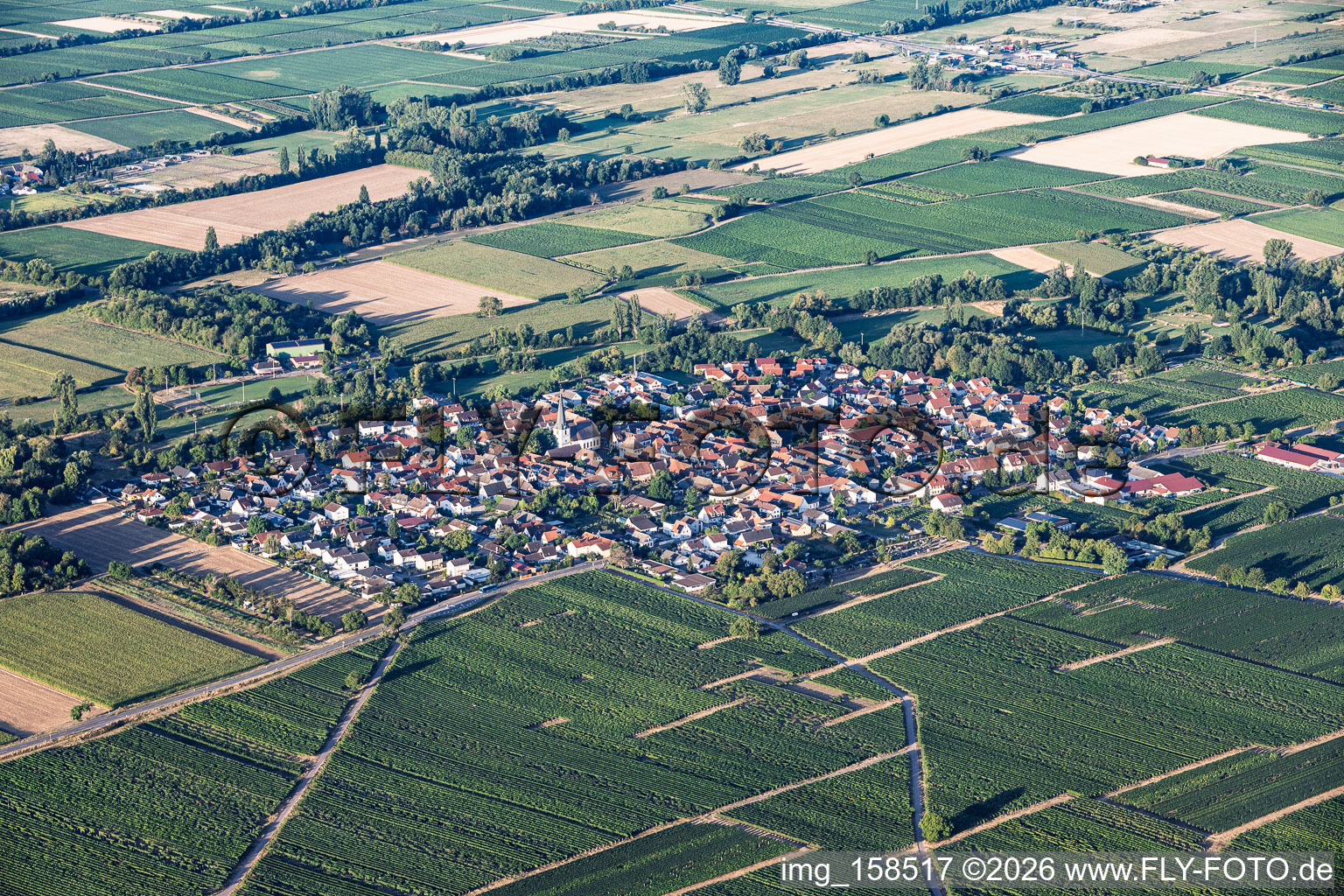 Venningen von Nordosten im Bundesland Rheinland-Pfalz, Deutschland