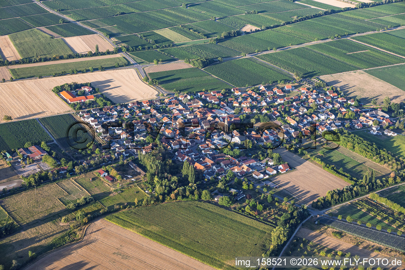 Dorfansicht aus Nordosten in Großfischlingen im Bundesland Rheinland-Pfalz, Deutschland