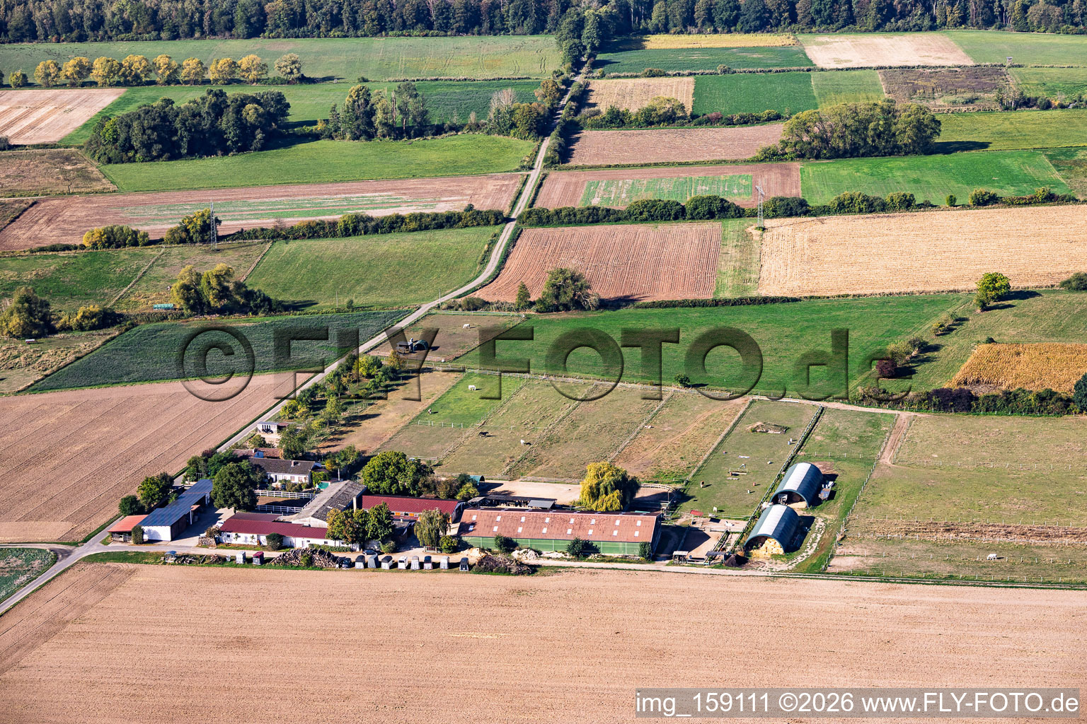 Pferdegestüt Römerhof im Ortsteil Richen in Groß-Umstadt im Bundesland Hessen, Deutschland