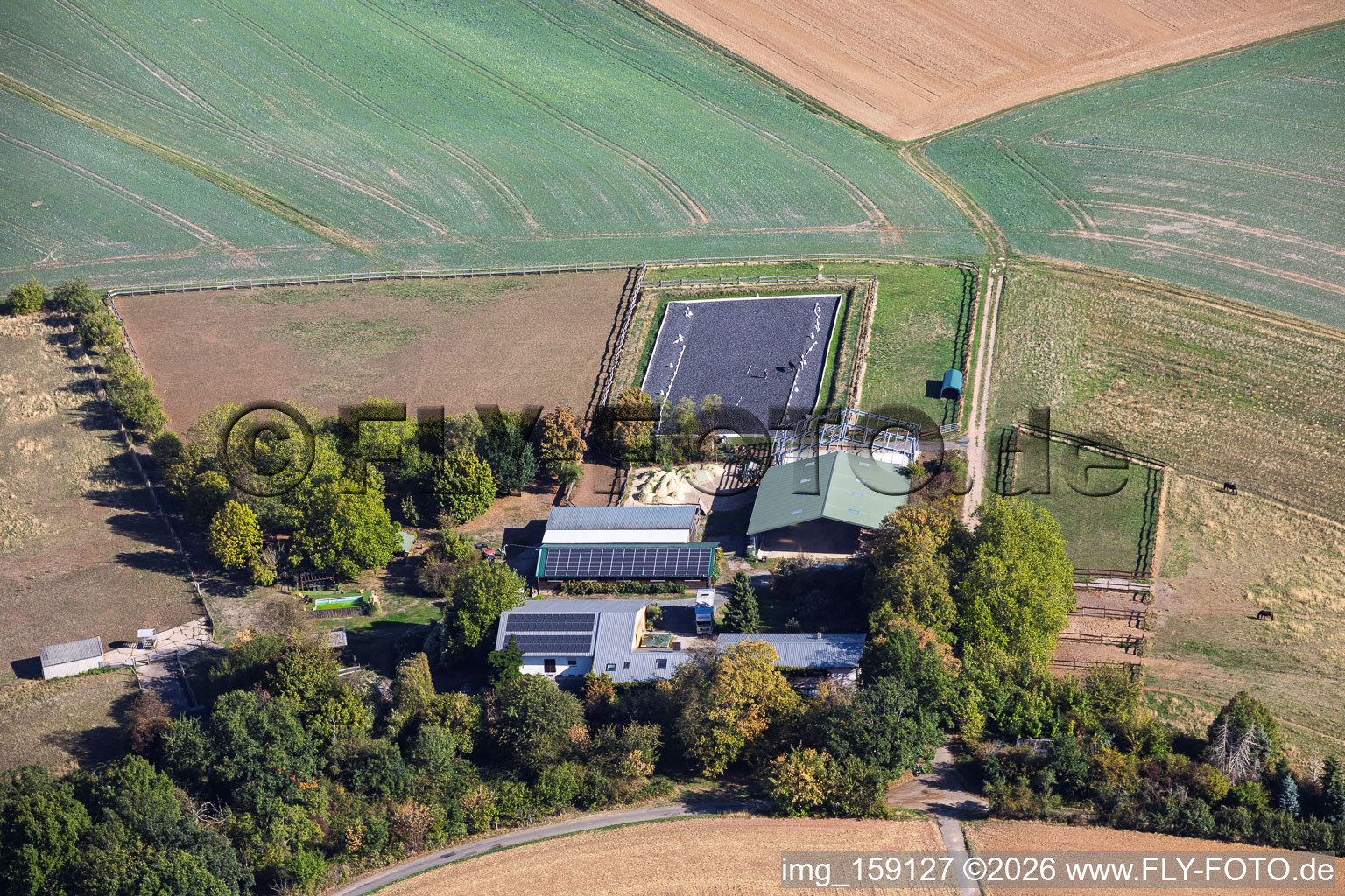 Heil Pferdehöfe im Ortsteil Klein-Umstadt in Groß-Umstadt im Bundesland Hessen, Deutschland